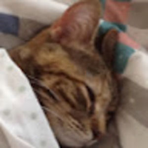 Meet your Posher, Cece